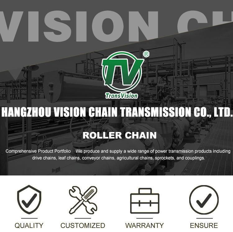 C2050 C2080 Stainless Steel Conveyor Chain for Transmission Use