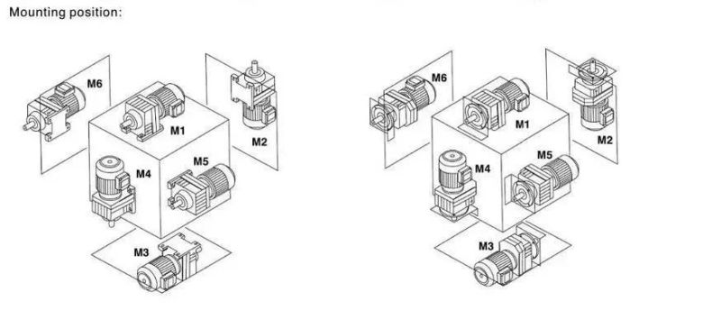 Solid Shaft Output R Series Reducer Cylinder Hardened Tooth Gear Box