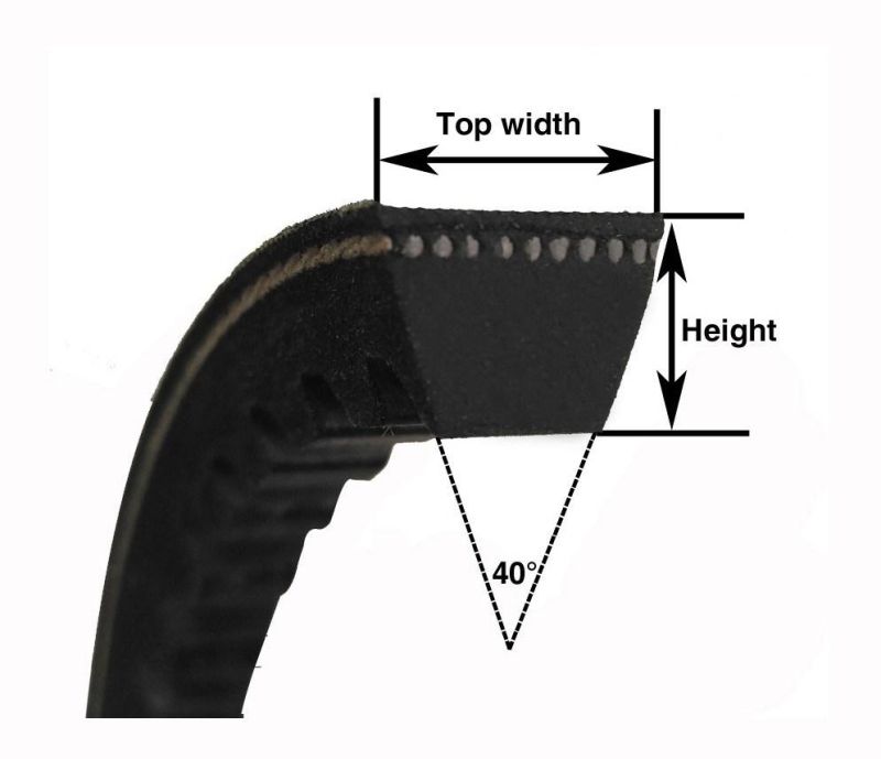 High Quality Raw Edge Rubber V Belt Cogged Belt Teethed Wedged V Belt