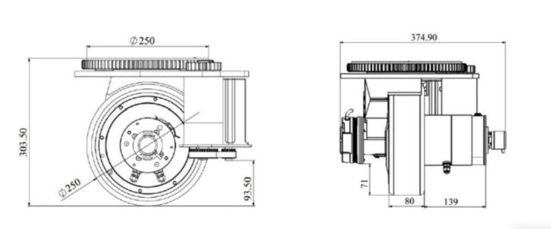 Heavy Load 750W Servo Motor Agv Wheel with Steering Motor for Customzied Trackless Material Handling Equipment Agv Battery System Agv (TZ18-D075S04)