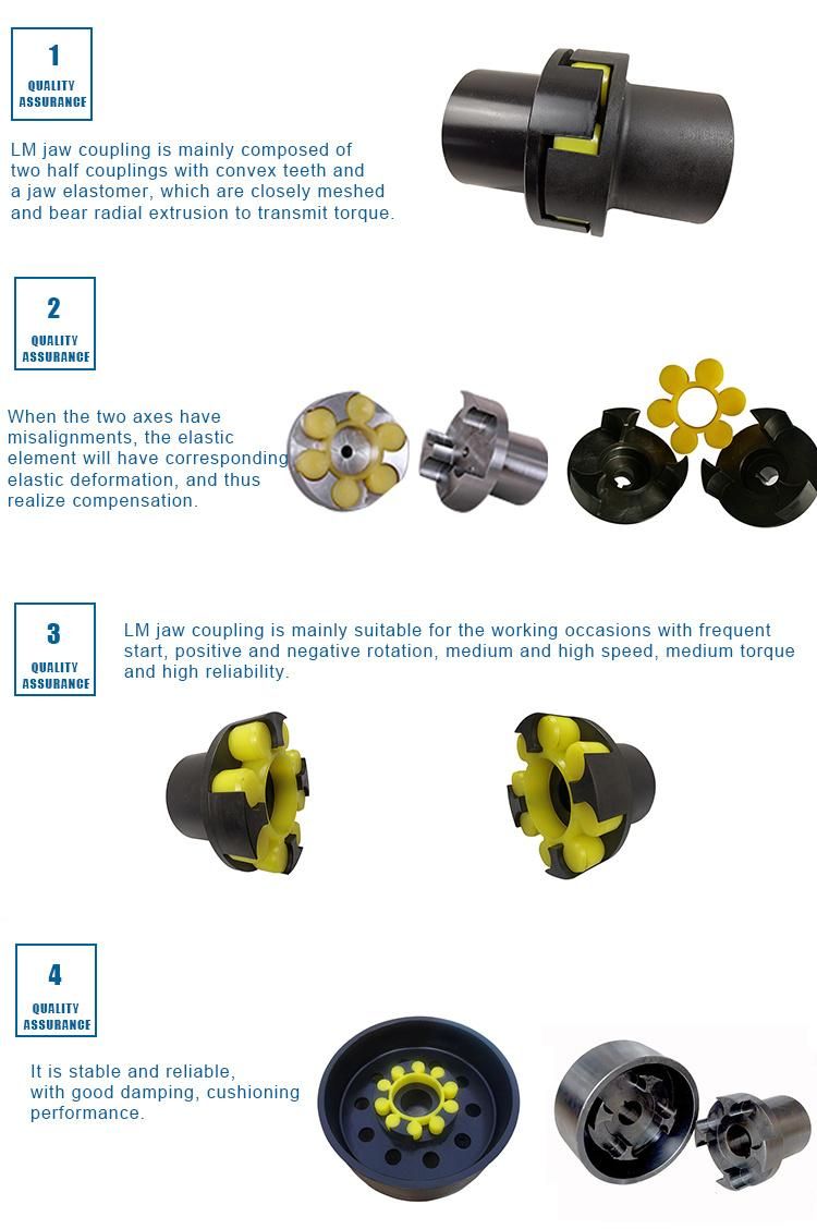 Mining Use Elastic Spider Coupling with Brakewheel for Belt Conveyor