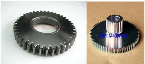 Stainless Steel Worm Drive Gear and Brass Transmission Spur Gear