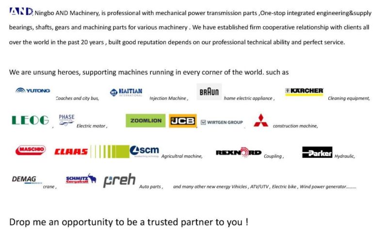 Top Quality Professional Practiced Gears Supplier for Hydraulic Pump