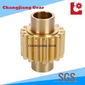 Transmission DIN8 Lever Tin Bronze Spur Involute Spline Gear for Gearbox for Food Machinery