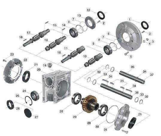 Eed Transmission Worm Gearbox Units E-RV050 Ratio15