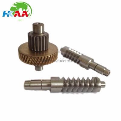 OEM CNC Machining Stainless Steel Small Worm Gear