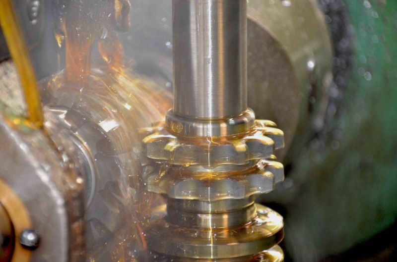 Chain Wheel Sprocket for Roller Chain and Conveyor Chain