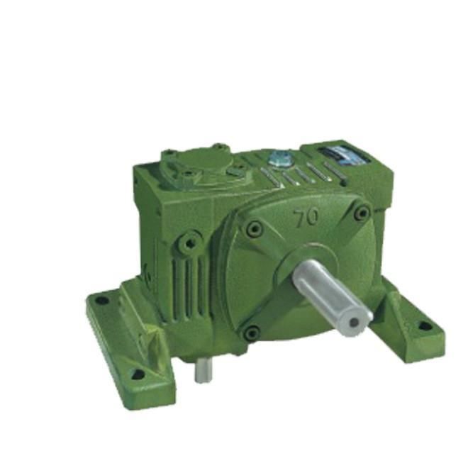 Eed Transmission Gearbox Single Wpw Series Reducer Wpwt/Wpwv Size 250