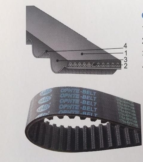 Oft Blue Tfl Car Timing Engine Belts / HNBR / Cr Fan Belt