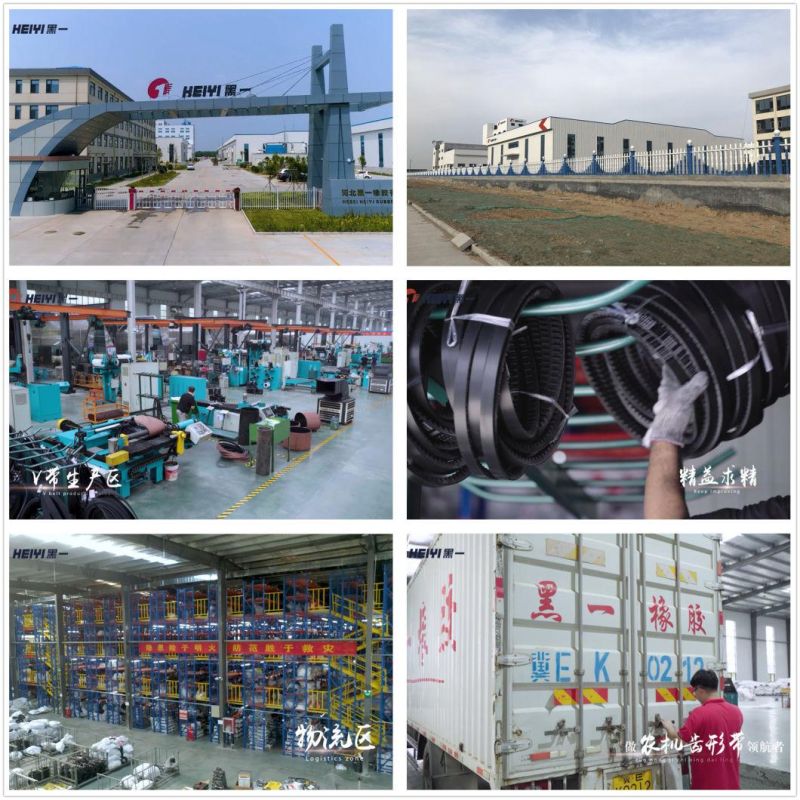 Multi Ribbed Poly-V Belts, Heavy-Duty Ribbed Belt, Industrial Machinery Rubber V Belt