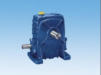 Wpa50 Worm Gear Reducer and Cast Iron Worm Gear Reducer