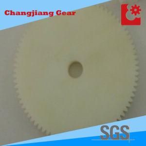 Nylon Plastic Pinion Spur Gear