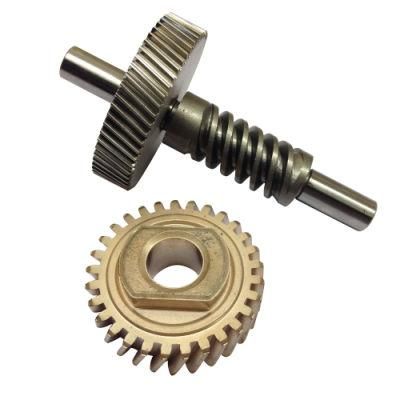 Stainless Stee Worm and Brass Worm Gear, Brass Worm Gear