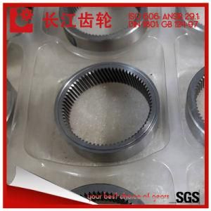 Nonstandard 42CrMo Internal Big Spur Ring Gear