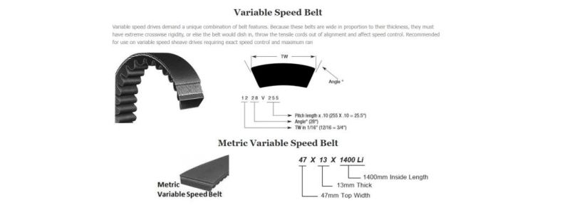 Baopower Agricultural Variable Speed Cogged Tooth Heavy Duty Bando Cog-Belts EPDM Cog Combine Havester Aramid V Belt SC