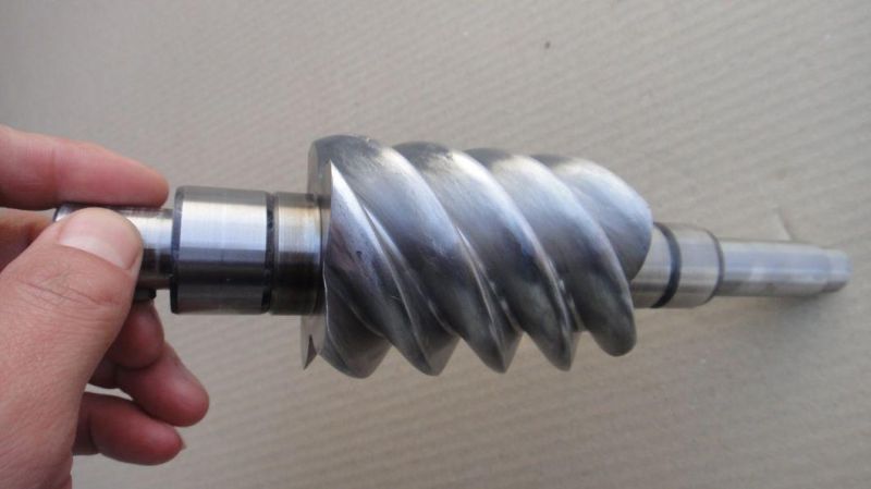 Customzied Stainless Steel Worm for Machinery