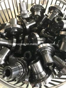 Customized Transmission Gear Planetary