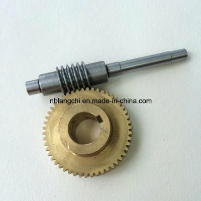 Set Transmission Parts Drive Worm and Worm Gear