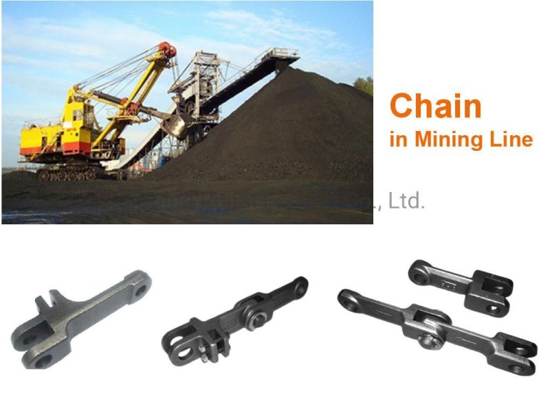 China Factory of Industrial Steel Forging Chain with Machinery Parts and Bucket Transmission Elevator Conveyor Roller Bush Forged Chain Link in Cement Industry