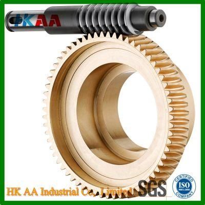 Custom Special High Precision Brass Worm and Worm Wheel for Transmission