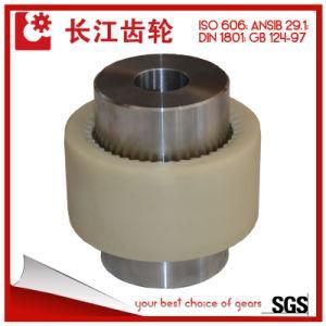 Motor, Generator Pump Gear Coupling