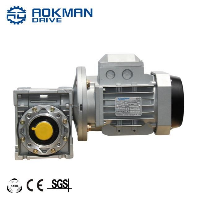 RV Series AC DC Motor with Right Angle Worm Gearbox