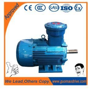 Small AC Electric Motors Hobby 380V/50Hz IP55 for Electric Motor 500kw