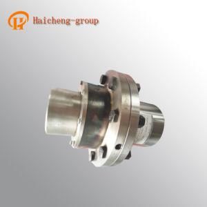 Clz Motor Shaft Coupling Types with Competition Price