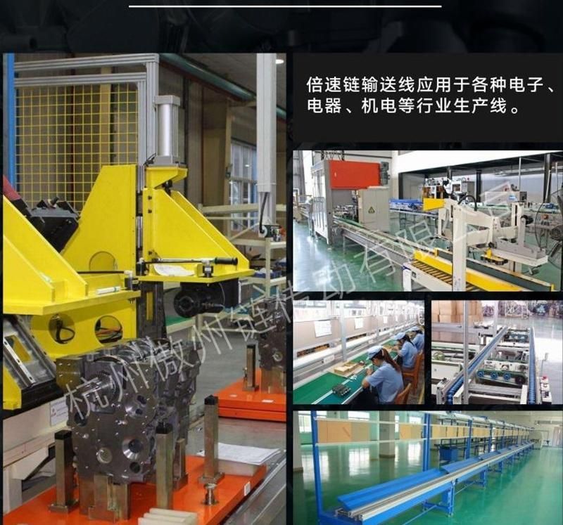 Triple Speed Chain with Steel Plate Nylon Roller Used in Conveyor Belt