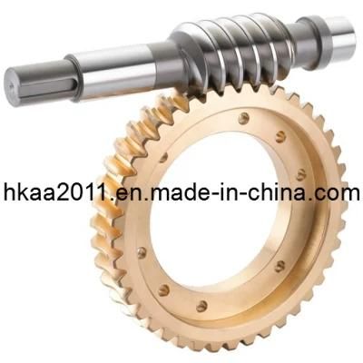 Precision Custom Stainless Steel/Brass Worm Gear for Servo Motor
