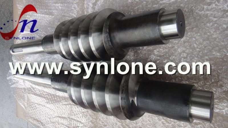 OEM Professional Factory Non-Standard Worm Gear Screw Shaft for Industry