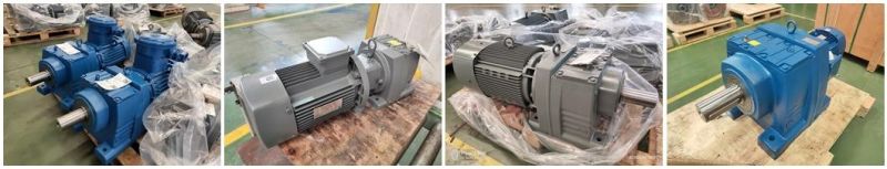 Inline Helical Geared Motor Reducer R Series