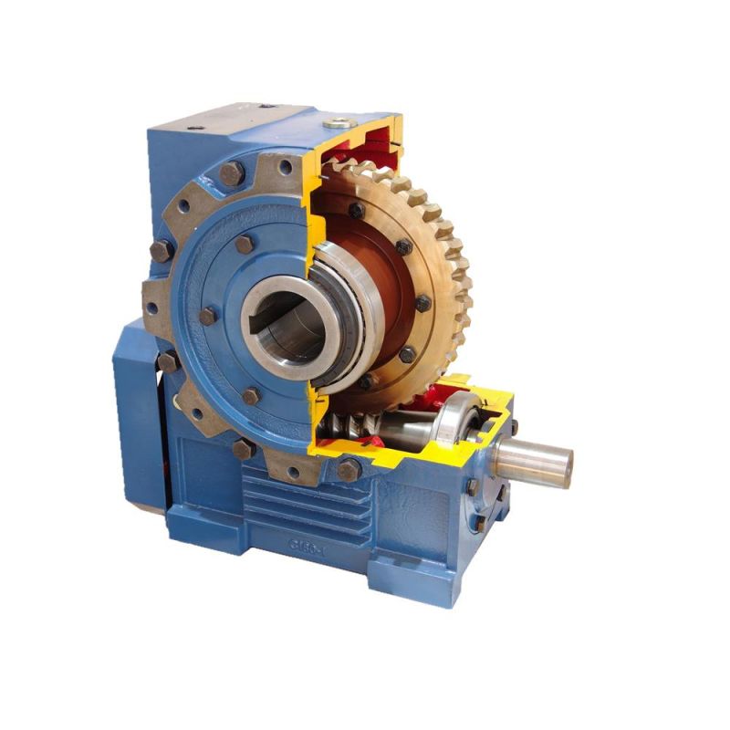 Cast Iron Reducer Double Enveloping Worm Gearbox Transmission 250mm Center Distance