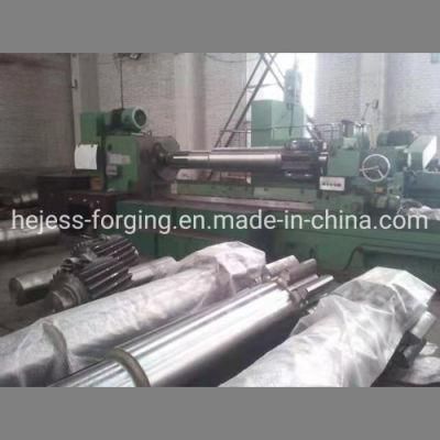 Forging Helical Gear Shaft Worm Gear Rotor