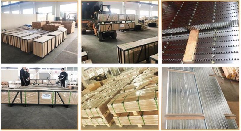 Steel Straight Teeth Gear Rack and Pinion Hardened Linear Motion Spur Gear Rack Model 1.5