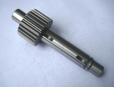 Gear Spur Gear Bevel Gears/Spur Gears/Gear Sets/Spiral Bevel Gear