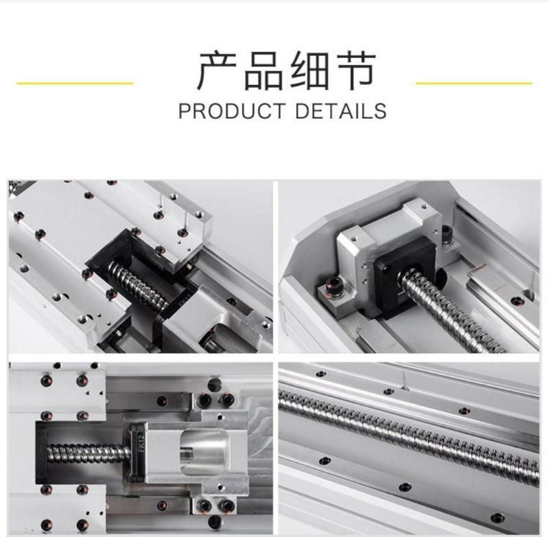Toco High Precision Non-Standard and Costomized 2 Axis Servo Motor Linear Guide Drive System