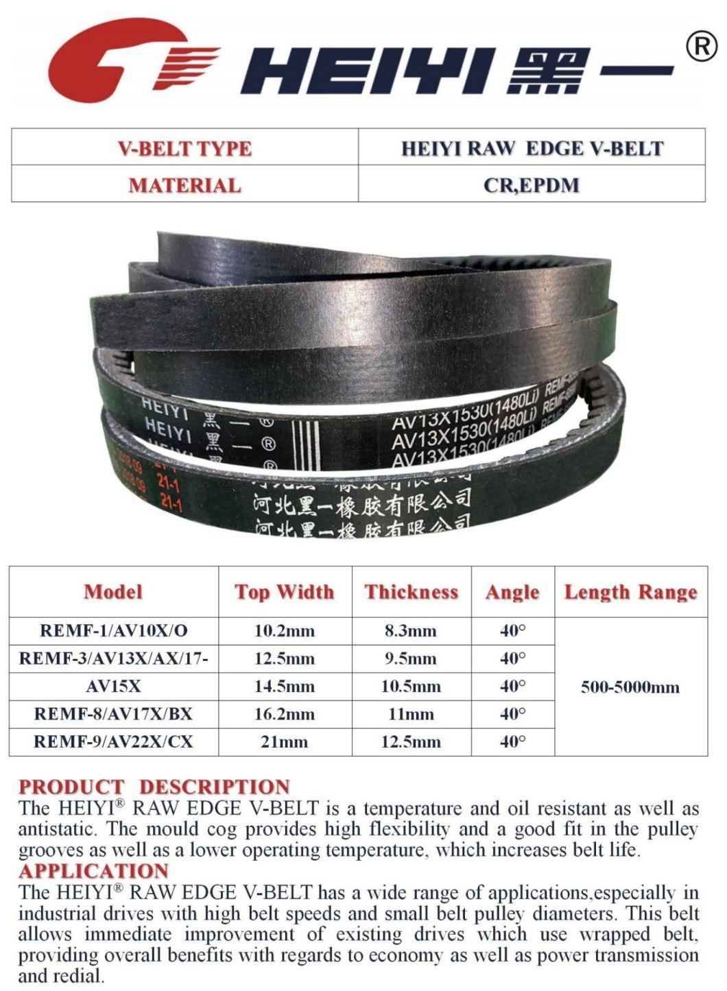 Flexible and Durable Raw Edge Plain V-Belt for High Power Transmission