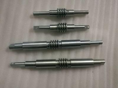 High Quality Machining Aluminum Worm Gear and Steel Worm Shaft