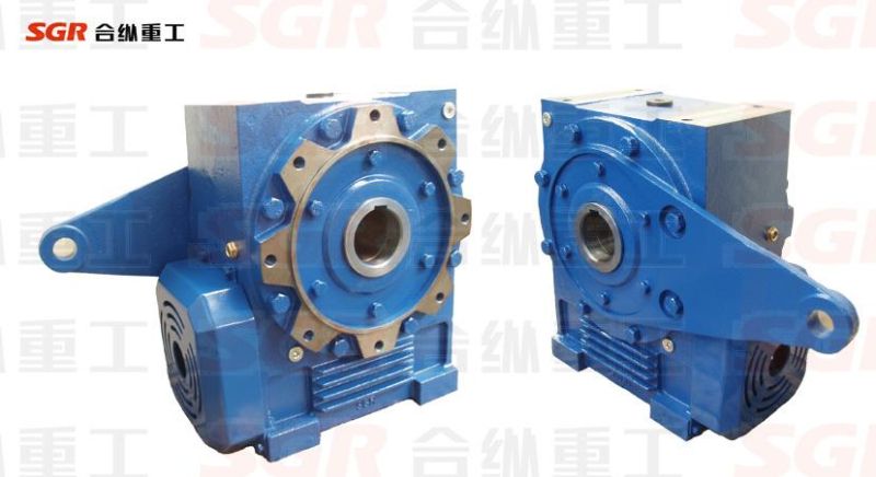 Planer Double Enveloping Worm Gearbox with Torque Arm
