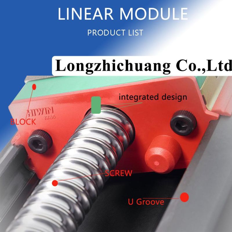Higih Accuracy Linear Motion Guide Slider Bearing Linear Module for Printing Equipment