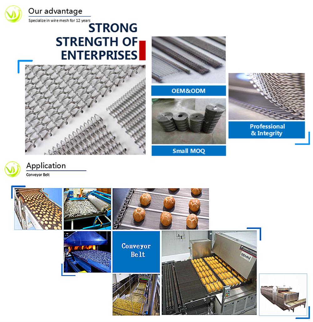 Stainless Steel Wire Mesh Conveyor Belt for Chemical