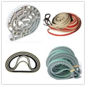Factory Directly Supply PU Steel Core 5m Transmission Timing Belts