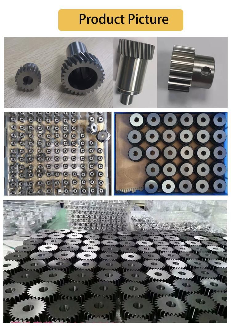 2019 Year High Quality Spur Gear with Nice Quality
