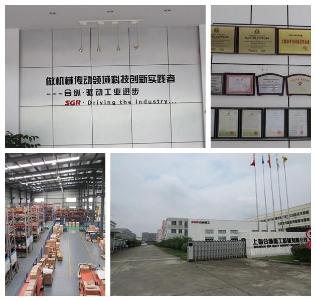 High Efficiency, Low Noise, Chinese Factory of Cone Worm Series Worm Reduction Gearbox