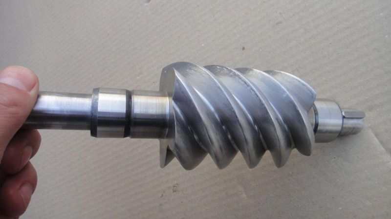 Customzied Stainless Steel Worm for Machinery