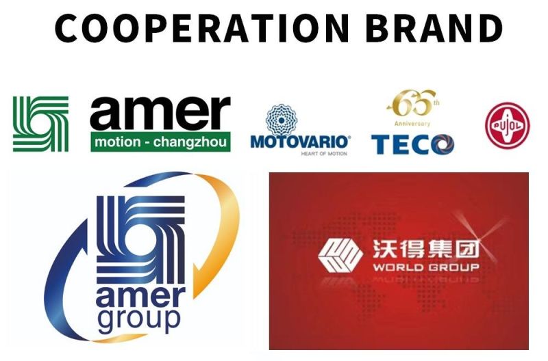Chinese Manufacturer Speed Reducer with Motor