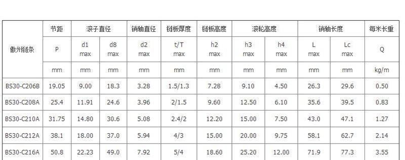 Triple Speed Chain with Steel Plate Nylon Roller Used in Conveyor Belt