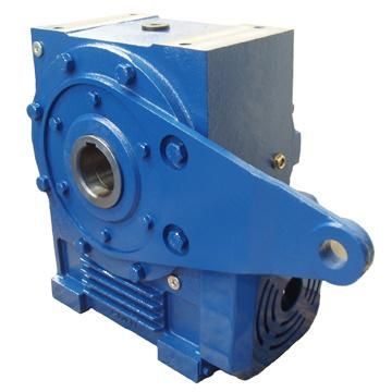 Solid-Input Solid-Output Cone Worm Gearbox