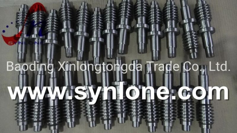 OEM Foundry Customized Auto Parts Stainless Steel Worm for Machinery